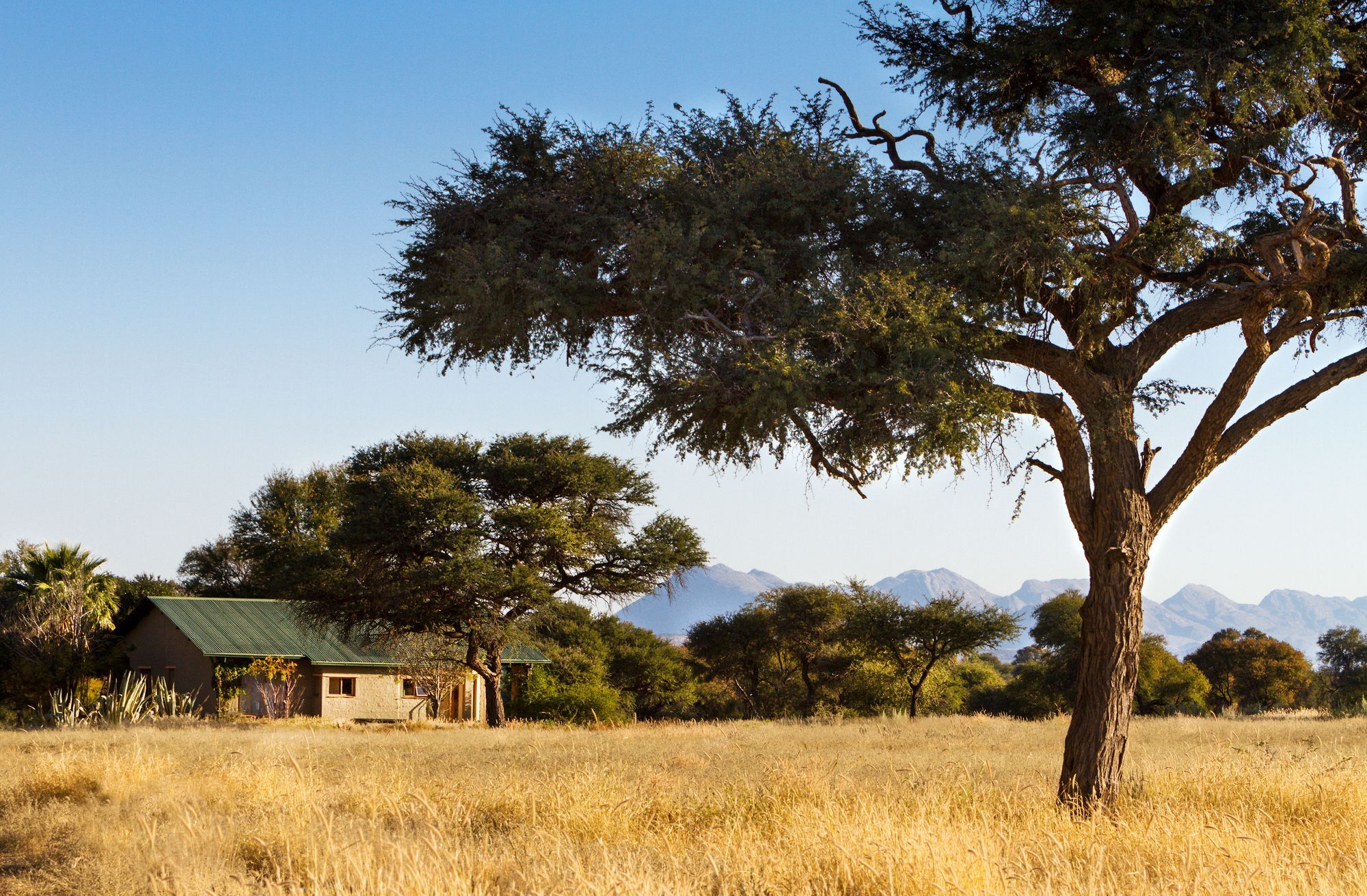 Ondekaremba Lodge Windhoek Exterior foto